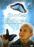 Голубая бабочка постер