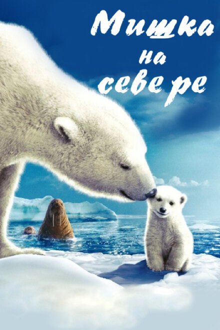 Мишка на Севере постер