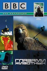 Постер BBC: Глазами животных