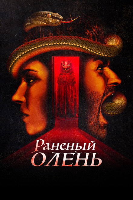  Раненый оленёнок постер