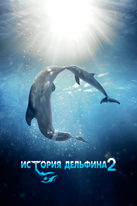История дельфина 2 постер