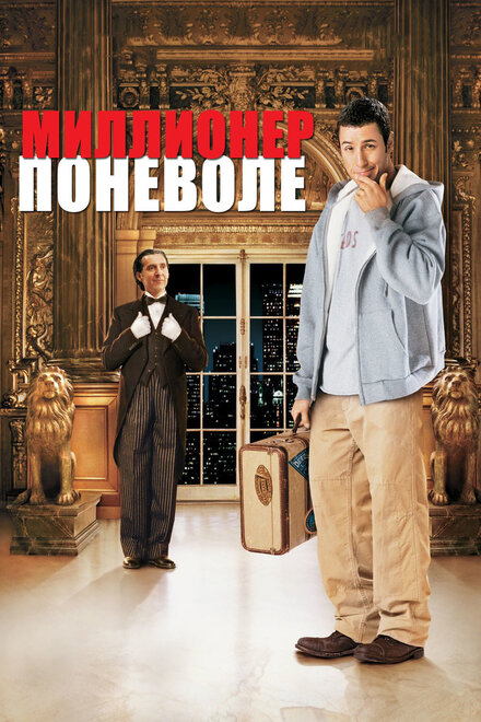 Миллионер поневоле постер