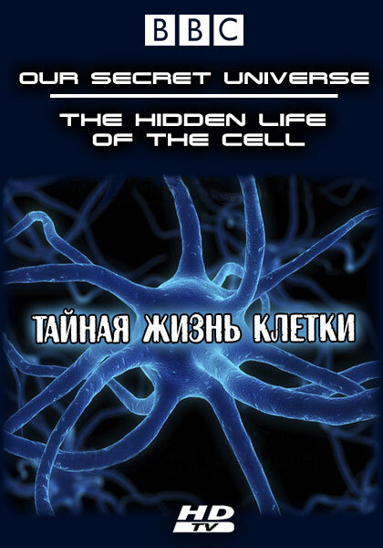Внутренняя вселенная: Тайная жизнь клетки постер