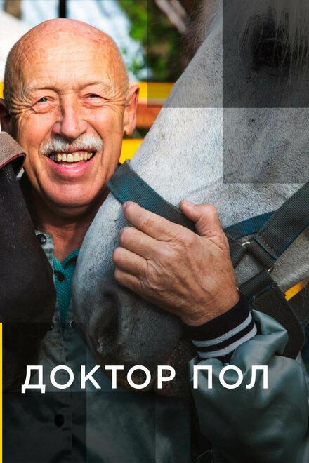 Доктор Пол постер